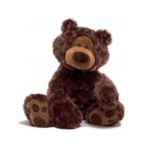 Dark brown Teddy bear